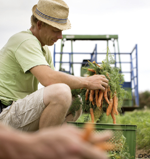 © Demeter Felderzeungisse 