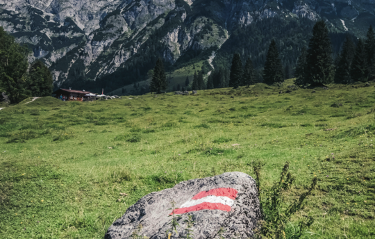 Wettlauf in Richtung Zukunft