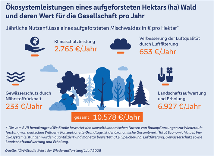 Die Ökosystemleistungen jedes zusätzlichen Hektars Wald haben einen enormen Wert für die Gesellschaft, wie diese Grafik anschaulich zeigt