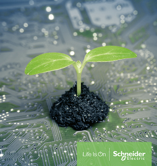 © weerapatkiatdumrong