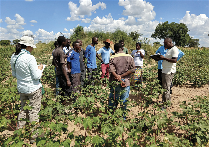 FSS-Audit kleinbäuerlicher Baumwollproduzenten in Sambia (2019), einem der Länder mit der größten Ernährungsunsicherheit weltweit. © FSS