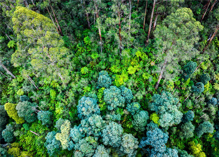 &copy; WWF