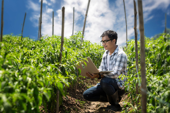 Die BayG.A.P.-Online-Schulung hilft Landwirten weltweit, ihre Produktivität und Profitabilität durch die Einhaltung nachhaltiger Praktiken zu steigern. © Bayer AG
