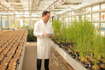 Biolaborant Frederic Bach führt diagnostische Tests im Gewächshaus des Weed Resistance Competence Center von Bayer CropScience in Frankfurt durch. Foto: © Bayer CropScience AG