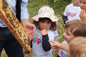 Bienenkindergartenaktion © HiPP