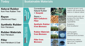 Bridgestone Sustainable Materials