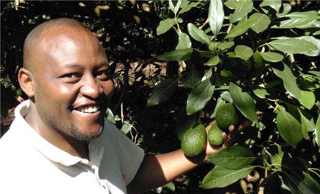 Neville Mchina ist Produktmanager für Bio-Avocados bei Eosta. © Eosta 