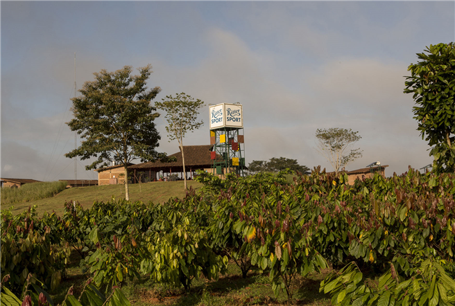 Die eigene Plantage El Cacao wird künftig rund 30 Prozent der benötigten Kakaomasse liefern. © Ritter Sport