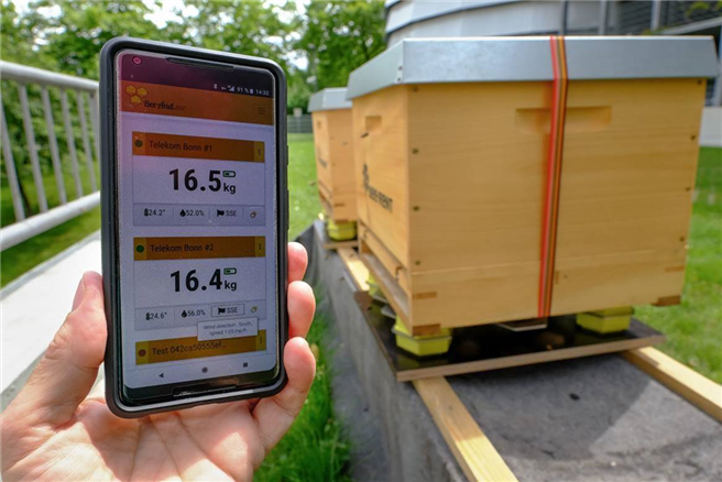 Nit Hilfe verschiedener Sensoren werden Informationen zu Gewicht, Luftfeuchtigkeit und den Geräuschen eines Bienenstocks gesammelt. © Deutsche Telekom