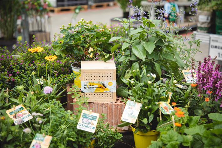 Baumarktkette setzt sich für Biodiversität ein und spendet für den NABU. © toom 