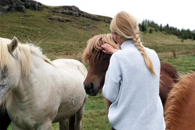 Bei einem Freiwilligenaufenthalt auf dem Pferdehof lassen sich Engagement und die Liebe zum Tier vereinen © Unsplash, TourCert