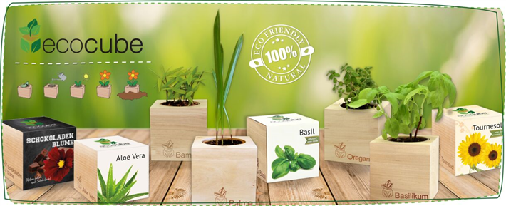 Ecocube © Feel Green