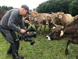 Der Film zeigt, dass es sie noch gibt: wunderbare Landschaften, auf denen friedlich Kühe grasen © DENKmal-Film Verhaag GmbH