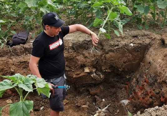 © Interessengemeinschaft gesunder Boden e.V.