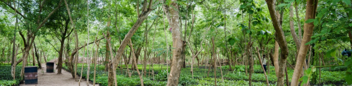 © natureOffice