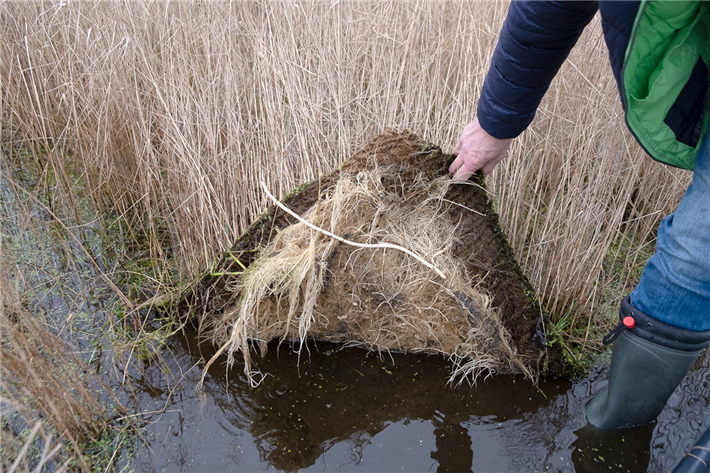 Durch die passive Bewässerung der Schwimminseln entstehen auch unter Wasser, im Wurzelwerk der Pflanzen, wertvolle Lebensräume für zahlreiche Insekten und andere Lebewesen. © Designstudio »morgen.« | Martha Starke