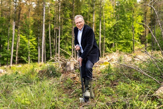 Ein Ziel der Thomas Haase Stftung ist es Waldgebiete zu renaturieren oder klimaresistent aufzuforsten. © lavera 