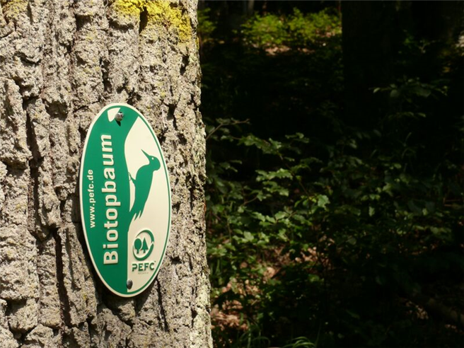 Die Plakette demonstriert öffentlichkeitswirksam die besonderen Leistungen PEFC-zertifizierter Waldbesitzer hinsichtlich Arten- und Biotopschutz. © PEFC Deutschland e.V.