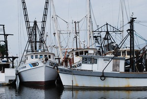 Fischerei bildet die Lebensgrundlage für rund 10 Przent der Menschheit. Um diese Basis zu erhalten ist nachhaltiges Handeln gefordert. © pixabay.com