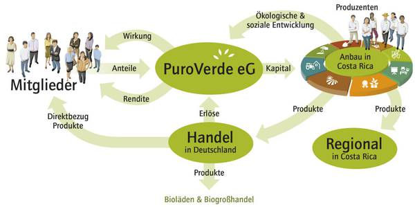 Das Wirtschaftsmodell der PuroVerde eG basiert auf dem solidarischen Zusammenwirken von Konsumenten und Produzenten. © PuroVerde eG 