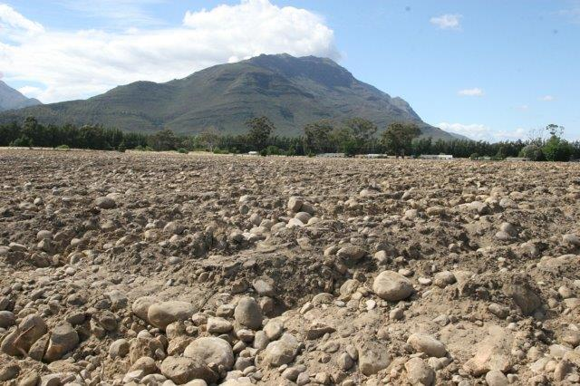 Auch bereits unfruchtbarer Boden kann wieder nutzbar gemacht werden. © Save our Soils