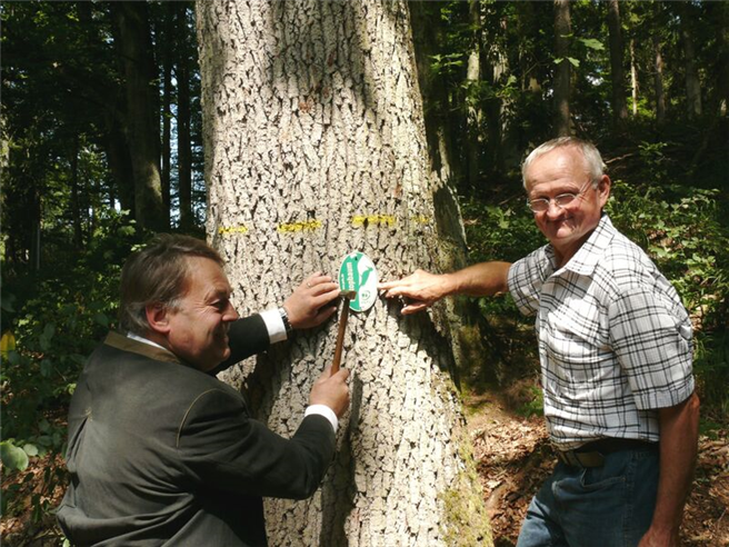 Forstminister Brunner setzt mit der bundesweit ersten PEFC-Biotopbaumplakette ein Signal für Nachhaltigkeit und Naturschutz. © PEFC Deutschland e.V.