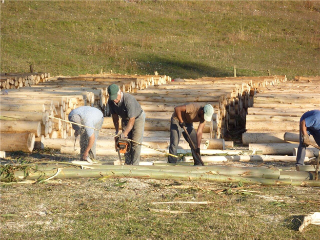 Chilenische Arbeiter zerlegen Baumstämme. © WeltGrund AG