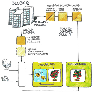 Schema der Versuchsanlage in Berlin Kreuzberg. © Fraunhofer UMSICHT