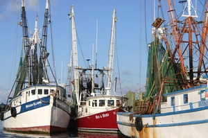 Die Fischbestände im Norden und Westen Europas erholen sich, doch das Mittelmeer ist nach wie vor stark überfischt. © pixabay.com 