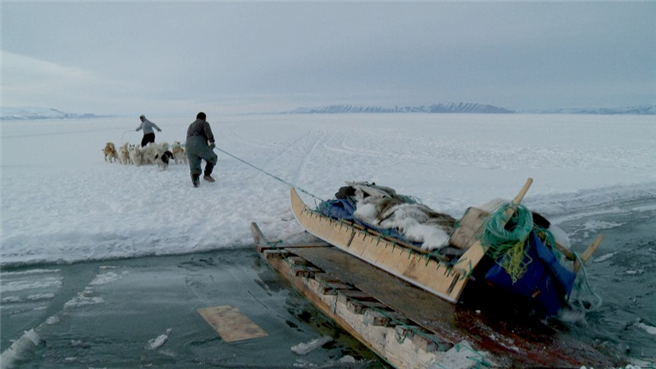 Die Phasen, in denen die Jäger von Qaanaaq auf dem Eis jagen können, werden immer kürzer. © ThuleTuvalu 