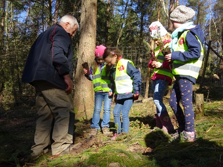 Über 300 Ilmenauer Kinder aus Kindergärten und Schulen pflanzten einen Baum in 'ihrem' Ilmenauer Stadtwald am Hangeberg. © PEFC