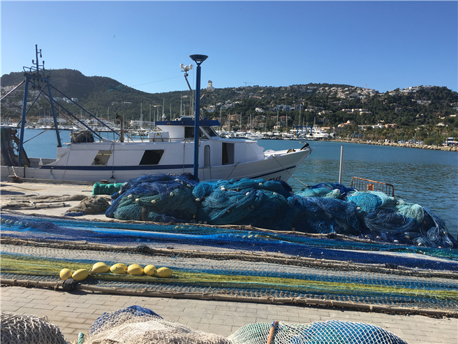 Seit 2011 werden Fischernetze aufgelesen und zu Garn recycelt. Foto: Carpet Concept