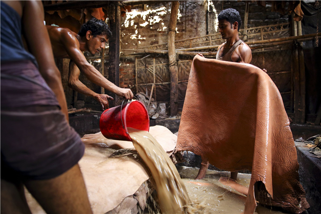 Gerberei in Bangladesch © GMB Akash