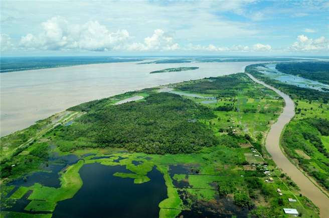 Blick über den Regenwald im Amazonas, in der Nähe von Manaus, der Hauptstadt des Bundesstaates Amazonas in Brasilien. © GLF