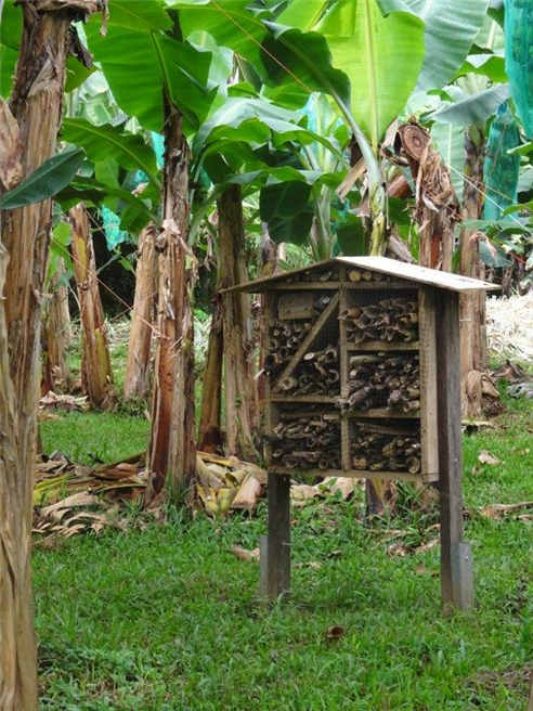 Insektenhotel im Bananenhain © PRS