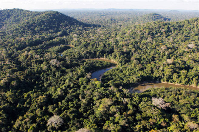 Das Florestal Santa Maria Projekt umfasst über 70.000 Hektar von tropischen Regenwäldern in der brasilianischen Region Mato Grosso. © BearingPoint