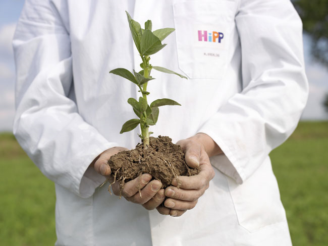 Nachhaltiges Denken und Handeln hat im Familienunternehmen HiPP Tradition und ist ein erklärtes Unternehmensziel des weltweit größten Verarbeiters von Bio-Rohstoffen. Foto: HiPP