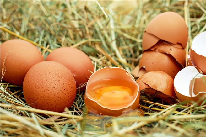 Bio-Eier gewinnen Qualitätsrennen - mit Abstrichen. © pixabay.de