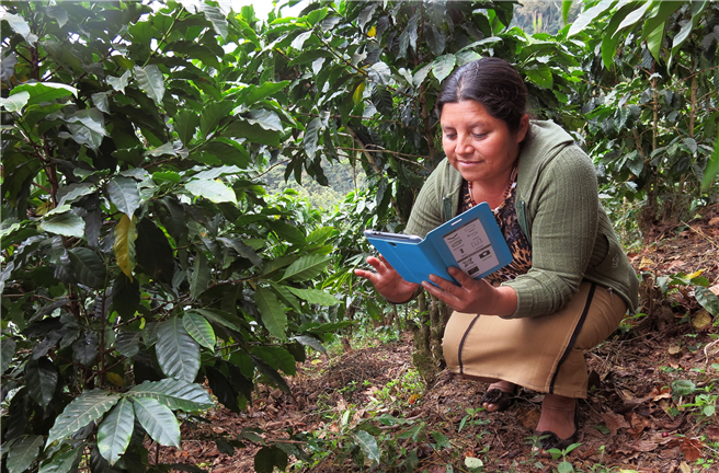 Leticia Monzon mit Tablet auf ihrer Rainforest-Alliance-zertifizierten Kaffeefarm in Guatemala. © Rainforest Alliance