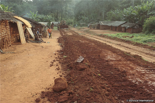 Baka und andere Völker wurden mit Gewalt von ihrem angestammten Land vertrieben. Jetzt leben sie am Straßenrand. © Survival Interantional