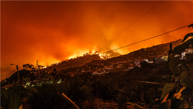 Wasserretention kann katastrophale Waldbrände wie hier in Portugal verhindern. © Michael Held/Unsplash 