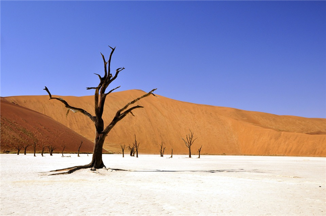 Nahezu überall auf der Welt breiten sich Wüsten aus und Land verödet. © katja, pixabay