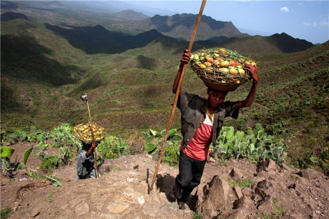 Das Gewinnergesetz aus der äthiopischen Tigray Region: Conservation-Based Agricultural Development-Led Industrialization (1994), supported by Mass Mobilization Campaigns (1991) and the Youth Responsive Land Policy (2008) © TerrAfrica Partnership at NEPAD Agency