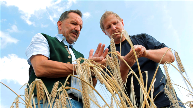 Braumeister Hans-Jürgen Iwan und Landwirt Kaspar Höcher bei der Gerstenbeschau auf dem Feld. © Ayinger Privatbrauerei