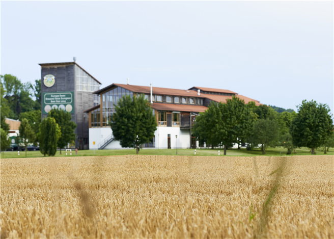 Die Ayinger Braugerste stammt ausschließlich von Landwirten aus dem Ort und aus dem Landkreis München. © Ayinger Privatbrauerei