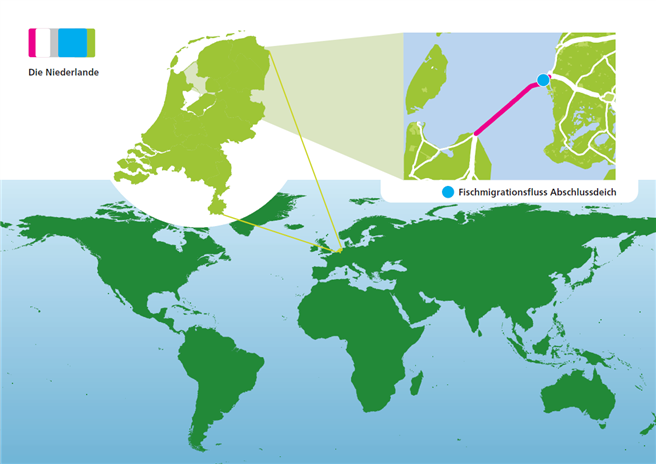 Der Fischmigrationsfluss entsteht am niederländischen Abschlussdeich. © Fryslan Marketing 