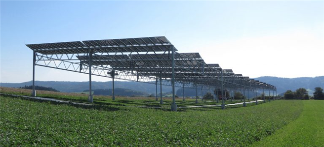 Positive Gesamtbilanz: Ertragsverluste unter Solarmodulen werden durch die Kombination mit Solarstromerzeugung mehr als kompensiert. © Fraunhofer-Institut für Solare Energiesysteme ISE