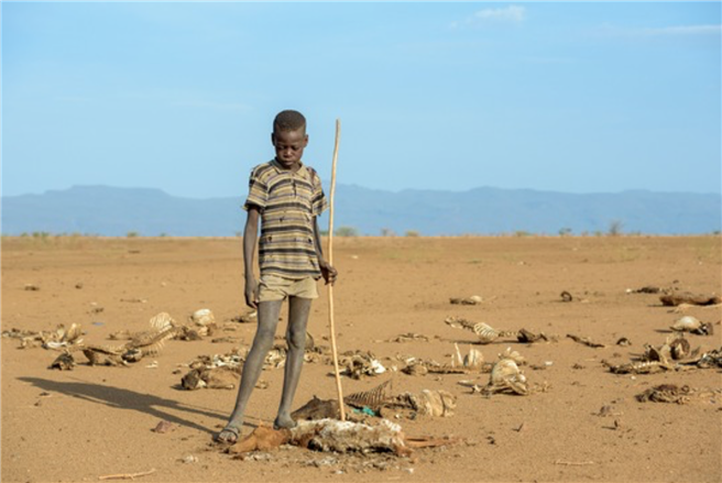 World Vision Nord-Kenia: Junge mit den Überresten seines Lieblingsschafs. © World Vision