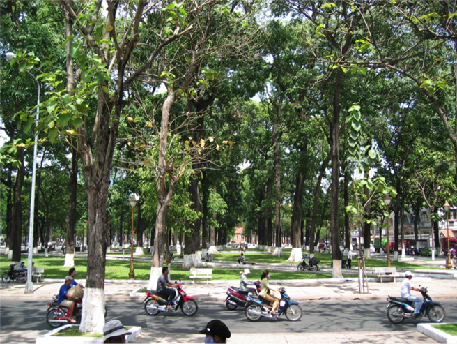 Für die Studie sind Proben von Baumkernen aus Metropolen wie hier in Vietnams Hauptstadt Hanoi genommen und analysiert worden. © TUM