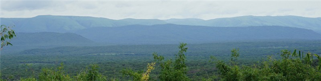 Neben der Aufforstung liegt der Fokus des Engagements in der Walderhaltung. © Carbon Tanzania